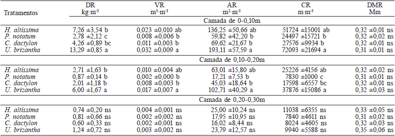 VALORES MÉDIOS DE DENSIDADE RADICULAR (DR), VOLUME RADICULAR (VR), ÁREA RADICULAR (AR), COMPRIMENTO RADICULAR (CR) E DIÂMETRO MÉDIO RADICULAR (DMR) DE QUATRO GRAMÍNEAS NAS CAMADAS DE 0-0,10m; 0,10-0,20m E 0,20-0,30m DE UM SOLO CONSTRUÍDO APÓS 103 MESES DE CONDUÇÃO DO EXPERIMENTO