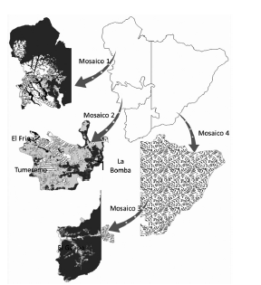 Clasificaci&oacute;n de la cuenca alta del r&iacute;o Botanamo en mosaicos del paisaje, a&ntilde;o 2011 (Fuente: Delgado, 2015). Los puntos negros corresponden a la ubicaci&oacute;n referencial de las encuestas.