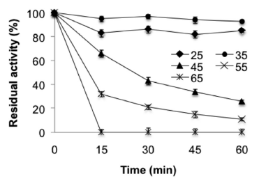 Thermal stability of purified trypsin from hepatopancreas of Dosidicus gigas.