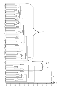 Dendrograma obtenido del an&aacute;lisis de agrupamiento con el m&eacute;todo UPGMA para 21 caracteres morfol&oacute;gicos de 114 accesiones de aguacate de la raza mexicana (Persea americana var. drymifolia) del banco de germoplasma del Campo Experimental Baj&iacute;o, con base en distancias euclidianas. Cada n&uacute;mero corresponde al n&uacute;mero de registro indicado en el Tabla I.