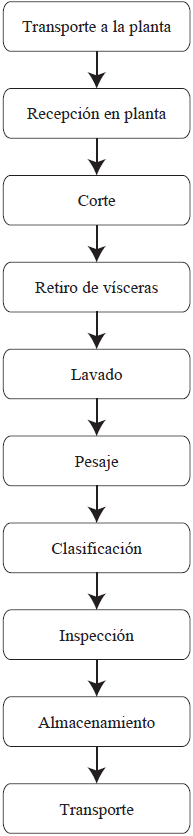 Diagrama de flujo del proceso de evisceración de tilapia roja.