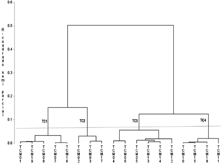 Dendrograma de agrupamiento jer&aacute;rquico de variedades de tomate de c&aacute;scara colectadas en Morelos,M&eacute;xico con sus variedades testigos.
