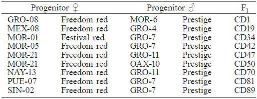  PROGENITORES UTILIZADOS PARA LA FORMACI&Oacute;N DE NUEVE H&Iacute;BRIDOS DE CRUZA DOBLE DE NOCHEBUENA. ZACATEPEC, MORELOS, M&Eacute;XICO. 2013.