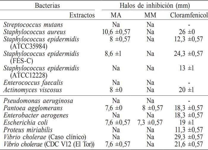 AN&Aacute;LISIS REALIZADO EN CGEM DEL EXTRACTO HEX&Aacute;NICO Y METAN&Oacute;LICO