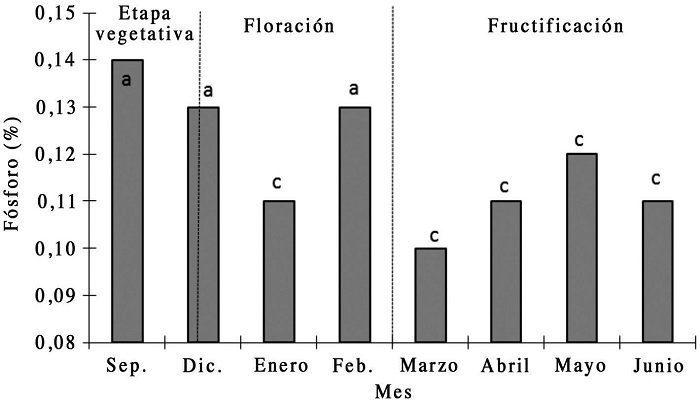 Dinámica de fósforo en árboles de litchi cv Brewster de ocho años de edad, en diferentes etapas fenológicas, ubicados en el Cerro del Tigre, Tepic, Nayarit. Pr>F= 0,0001; diferencia mínima significativa= 0,02 y coeficiente de variación= 24,24%.