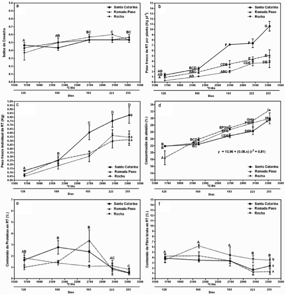 Evoluci&oacute;n del &iacute;ndice de cosecha (a), el rendimiento de ra&iacute;ces tuberosas por planta (b), el peso fresco individual de ra&iacute;ces tuberosas (c), el contenido de almid&oacute;n (d), prote&iacute;nas (e) y fibra bruta (f) de ra&iacute;ces tuberosas de tres genotipos de mandioca cultivados bajo invernadero, en Corrientes, Argentina (2012/2013) en funci&oacute;n del tiempo t&eacute;rmico acumulado expresado en &ordm;C/d&iacute;a (TTA= S TT1+TT2+&hellip;+TTn; donde TT: temperatura media diaria - temperatura base; 1, 2 &hellip; n: d&iacute;as transcurridos entre plantaci&oacute;n y momento de cosecha) y del tiempo en d&iacute;as. Letras may&uacute;sculas distintas en a, c, e y f indican diferencias significativas con respecto al tiempo; letras min&uacute;sculas diferentes en c y f indican diferencias significativas con respecto al genotipo y letras may&uacute;sculas distintas en b y d denotan diferencias estad&iacute;sticas debidas a la interacci&oacute;n entre genotipo vs. tiempo seg&uacute;n el test de comparaciones m&uacute;ltiples de Duncan (P&pound;0,05).