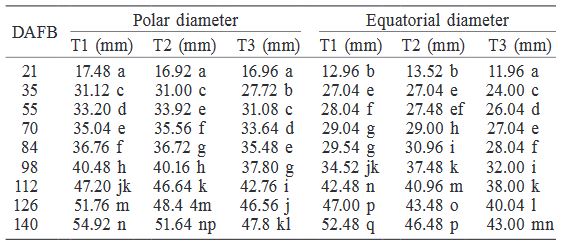 POLAR AND EQUATORIAL DIAMETER MEASUREMENTS IN GROWING PEACH FRUIT