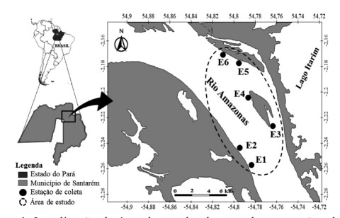 Localização da área de estudo destacando as estações de coleta restingas E1 e E5 enseadas E2 e E3 e barrancos E4 e E6 no complexo de ilhas das Marrecas no trecho baixo do rio Amazonas próximo à cidade de SantarémPará