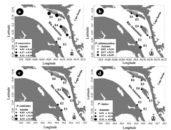 Densidade média das larvas de Curimatidae nas estações de coleta no momento de enchente no ano de 2013, na cidade de Santarém-Pará. Psectrogaster amazonica (a), Potamorhina altamazonica (b), Psectrogaster rutiloides (c) e Potamorhina latior (d).