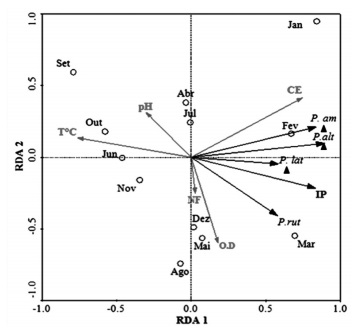Diagrama de ordenação da análise de redundância (RDA) relacionando as variavéis ambientais e densidade de larvas durante os meses do ano. Os círculos representam os meses, os triângulos as espécies e os vetores as variáveis ambientais (vetor IP foi a variável que apresentou p=0,002). Os vetores são IP: índice pluviométrico, NF: nível fluviométrico, OD: oxigênio dissolvido, T°C: temperatura da água, pH: potencial hidrogênio, e CE: condutividade elétrica