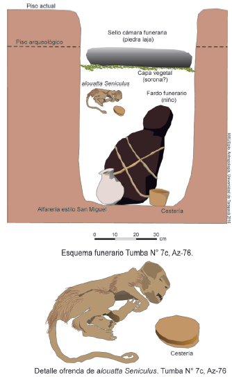 Cementerio Az-76, tumba 7C. Cuerpo de un ni&ntilde;o, junto a un mono de la especie Aluatta seniculus.