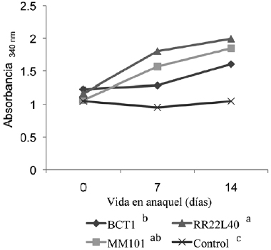 Actividad proteol&iacute;tica de las bebidas de yogur durante
su vida en anaquel