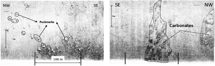 Side scan sonar showing irregularities in the seabed (pockmarks
and possible carbonates).