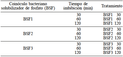 TRATAMIENTOS EVALUADOS EN LA GERMINACIÓN in vitro DE SEMILLAS DE FRIJOL (Phaseolus vulgaris L.)