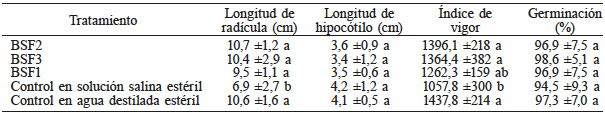 COINÓCULOS BSF Y SU EFECTO EN LA GERMINACIÓN in vitro DE SEMILLAS DE FRIJOL (Phaseolus vulgaris L.)