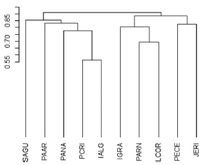 Dendrograma de similaridade entre a restinga da
Praia de Panaquatira (presente estudo) e outras áreas de restinga do litoral amazônico
e nordestino setentrional brasileiro
