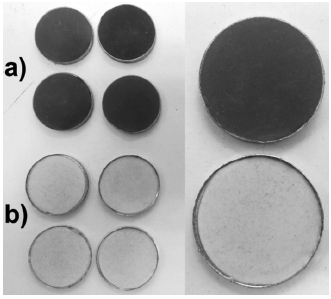 Pressed pelltes of vegetable samples (a) and standards
(b), prior to their analysis by EDXRF
