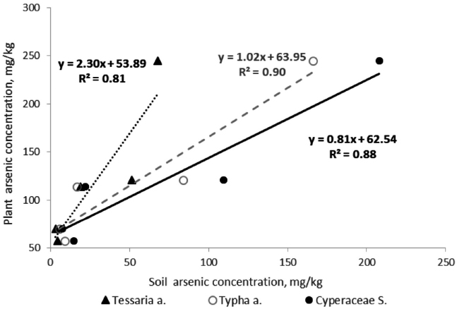 Correlation between the As total content in the
vegetable and the As total content in soils for the species Tessaria absinthioides,
Typha angustifolia and Cyperaceae Scirpus