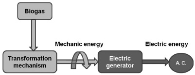 Schematic representation of a biogas electrical plant