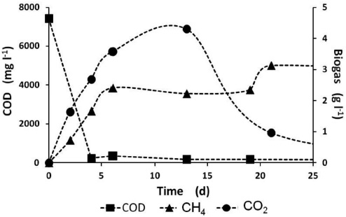 COD removal and methane production without biofilm (particle size: 9-10 mesh)