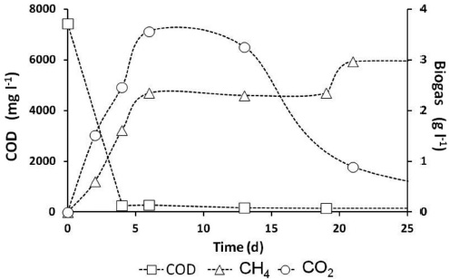 COD removal and CH4 production without biofilm (particle size: 20-35 mesh)