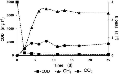 Process performance with biofilm: 45 days (particle size: 9-10 mesh)