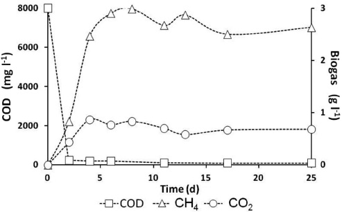 Process performance with biofilm: 45 days (particle size: 20-35 mesh)