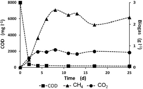 Process performance with biofilm: 60 days (particle size: 9-10 mesh)