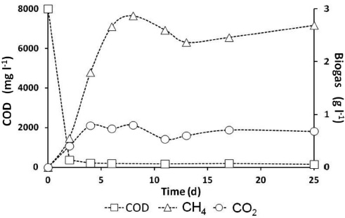 Process performance with biofilm: 60 days (particle size: 20-35 mesh)