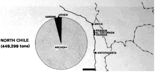 Recursos pelagicos posibles de ser explotados