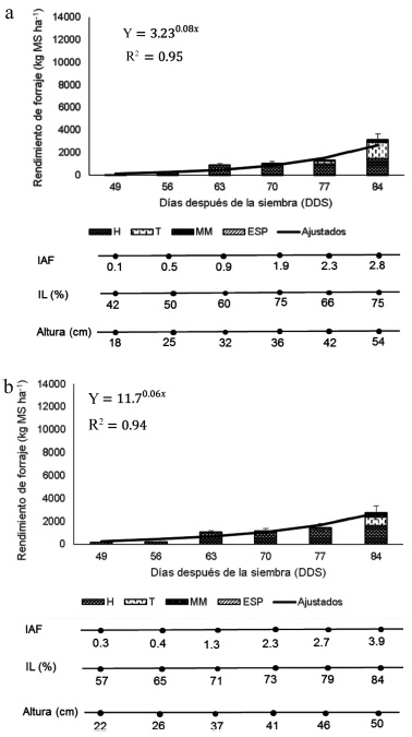 Acumulaci&oacute;n de forraje por componente morfol&oacute;gico