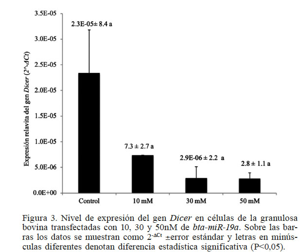 Nivel de expresi�n del gen Dicer en c�lulas de la granulosa bovina transfectadas con 10, 30 y 50nM de bta-miR-19a. Sobre las barras los datos se muestran como 2-DCt �error est�ndar y letras en min�sculas diferentes denotan diferencia estad�stica significativa (P<0,05).