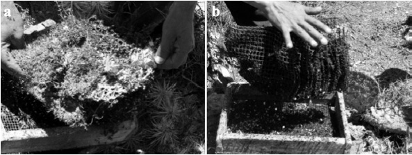 Sifting using the prototypes