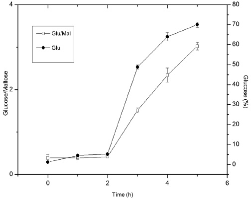 Conversion
(%) of starch present in broken rice into glucose, by employing
α-amylase (90ºC / 0.38 KNU / pH6) and glucoamylase (50° C / 0.75 AGU / pH4.5) in sequence, and the relationship between the content of glucose and maltose along hydrolysis employing α-amylase and glucoamylase enzymes in sequence (n = 6)