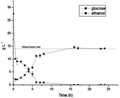 Glucose
and bioethanol curve in the fermentation of broken rice
hydrolyzate