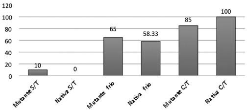 Germinaci&oacute;n de semilla de
higuerilla mutante y nativa sin tratamiento (S/T)