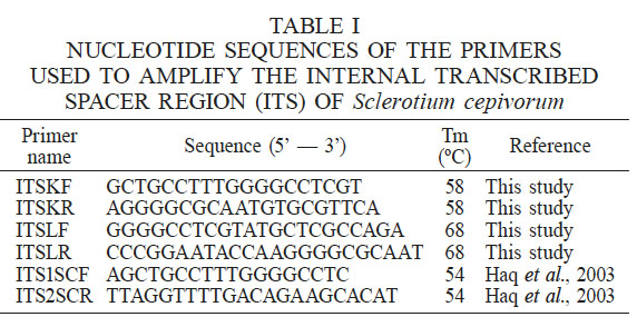NUCLEOTIDE SEQUENCES OF THE PRIMERS USED TO AMPLIFY THE INTERNAL
TRANSCRIBED SPACER REGION (ITS) OF Sclerotium
cepivorum
