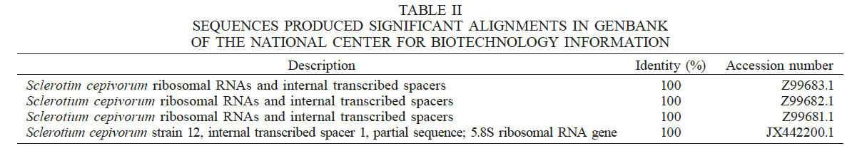 SEQUENCES
PRODUCED SIGNIFICANT ALIGNMENTS IN GENBANK OF THE NATIONAL CENTER FOR
BIOTECHNOLOGY INFORMATION
