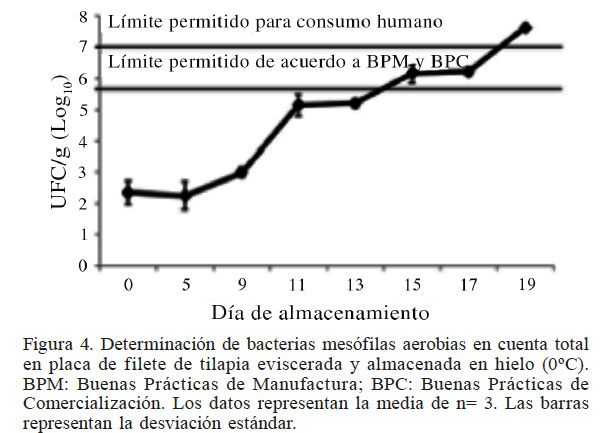 Determinaci&oacute;n de bacterias
mes&oacute;filas aerobias en cuenta total en placa de filete de tilapia eviscerada y
almacenada en hielo (0&ordm;C). BPM: Buenas Pr&aacute;cticas de Manufactura; BPC: Buenas
Pr&aacute;cticas de Comercializaci&oacute;n. Los datos representan la media de n= 3. Las
barras representan la desviaci&oacute;n est&aacute;ndar.