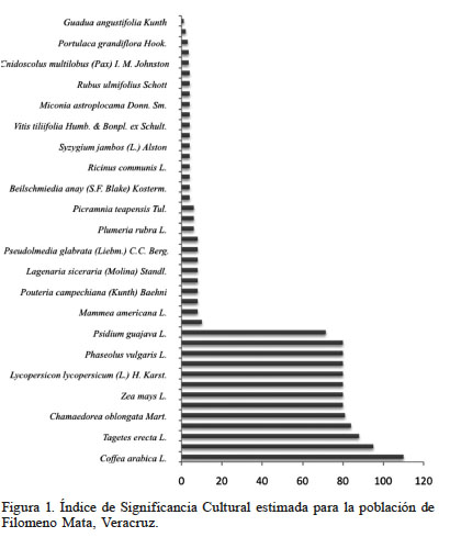 Índice de Significancia Cultural estimada para la población de Filomeno Mata, Veracruz.
