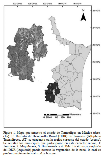 Mapa que muestra el estado de Tamaulipas en Mxico (derecha). El Distrito de Desarrollo Rural (DDR) de Jaumave (Altiplano Tamaulipeco, AT) se encuentra en la regin suroeste del estado (oscuro). Se sealan los municipios que participaron en esta caracterizacin; 1: Jaumave, 2: Miquihuana, 3: Bustamante y 4: Tula. En el mapa ampliado del DDR (izquierda) puede notarse la vegetacin de la zona, la cual es predominantemente matorral y bosque.