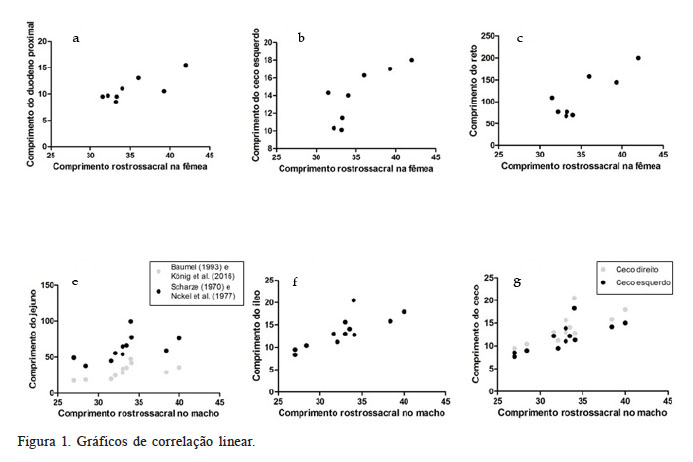 Gr�ficos de correla��o linear.