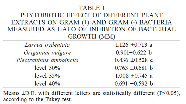 PHYTOBIOTIC EFFECT OF DIFFERENT
PLANT EXTRACTS ON GRAM (+) AND GRAM (-) BACTERIA MEASURED AS HALO OF INHIBITION
OF BACTERIAL GROWTH (MM)