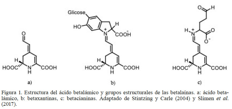 Estructura del cido betalmico y grupos estructurales de las betalanas. a: cido betalmico, b: betaxantinas, c: betacianinas. Adaptado de Stintzing y Carle (2004) y Slimen et al. (2017).