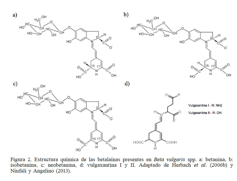 Estructura qumica de las betalanas presentes en Beta vulgaris spp. a: betanina, b: isobetanina, c: neobetanina, d: vulgaxantina I y II. Adaptado de Herbach et al. (2006b) y Ninfali y Angelino (2013).
