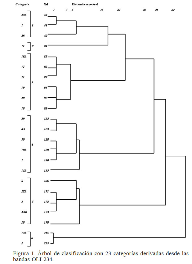 �rbol de clasificaci�n con 23 categor�as derivadas desde las bandas OLI 234.