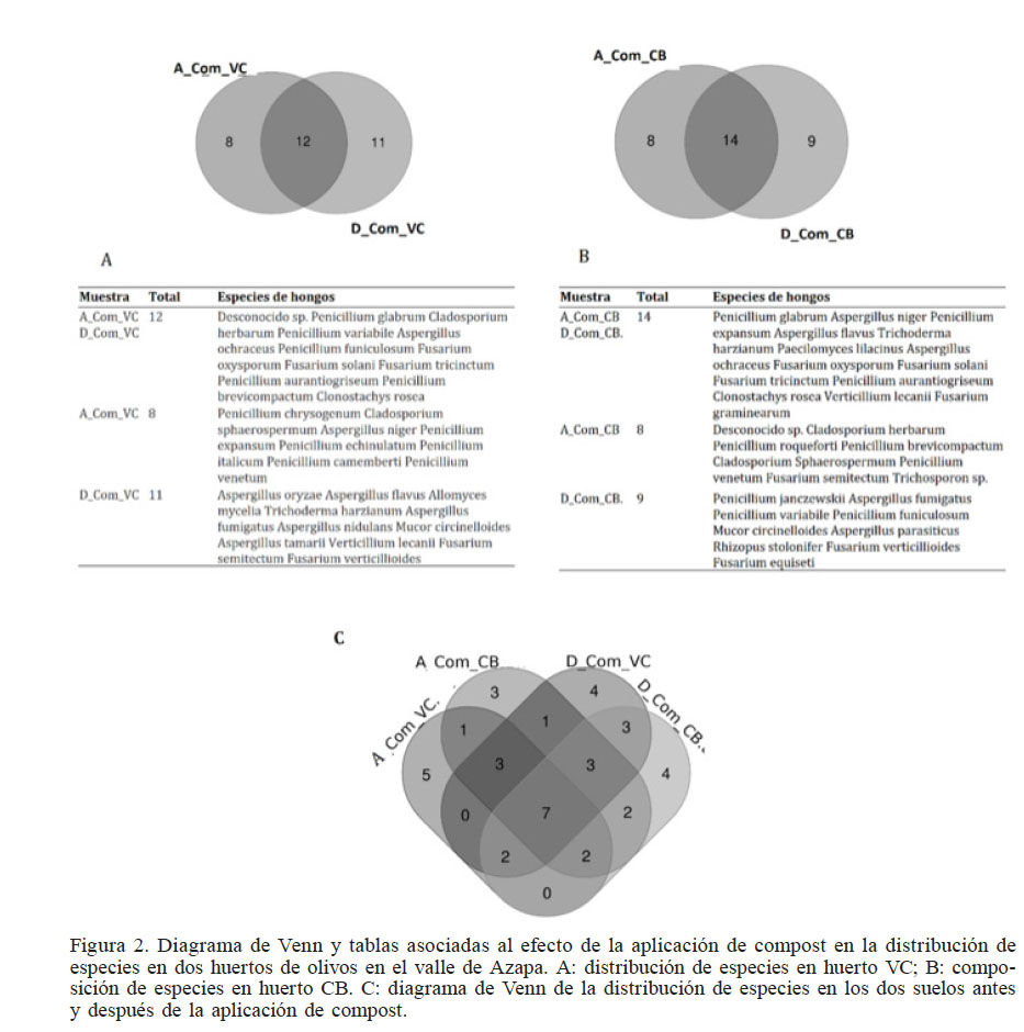 Diagrama de Venn y tablas asociadas
al efecto de la aplicaci&oacute;n de compost en la distribuci&oacute;n de especies en dos huertos
de olivos en el valle de Azapa. A: distribuci&oacute;n de especies en huerto VC; B: composici&oacute;n
de especies en huerto CB. C: diagrama de Venn de la distribuci&oacute;n de especies en
los dos suelos antes y despu&eacute;s de la aplicaci&oacute;n de compost