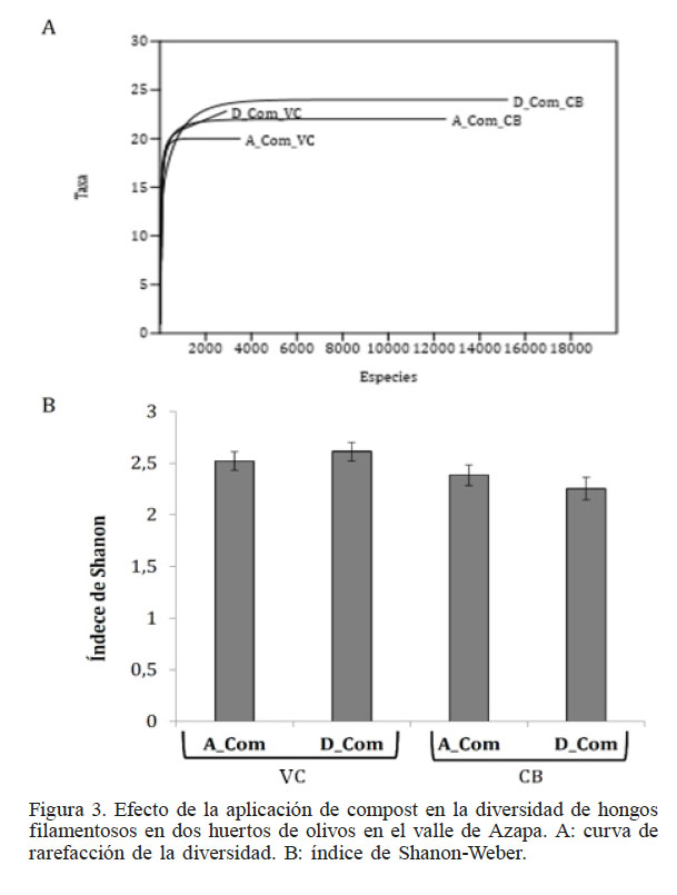 Efecto de la aplicaci&oacute;n de compost
en la diversidad de hongos filamentosos en dos huertos de olivos en el valle de
Azapa. A: curva de rarefacci&oacute;n de la diversidad. B: &iacute;ndice de Shanon-Weber.