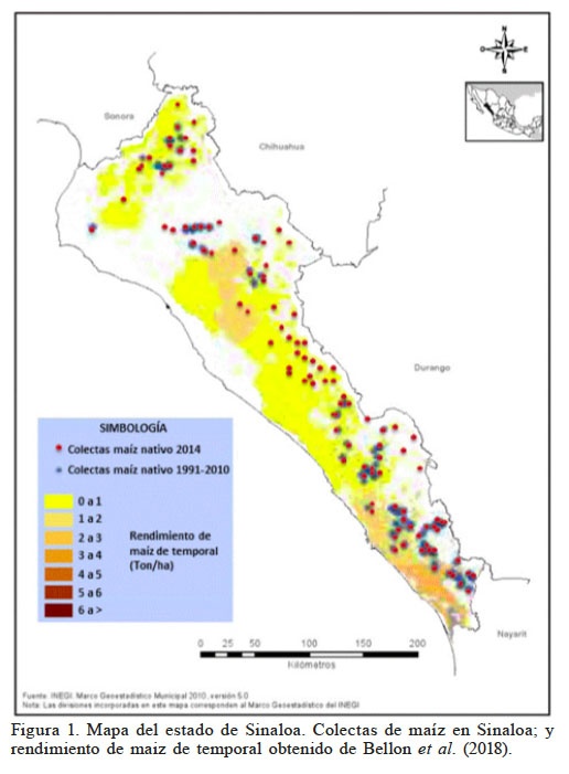 Mapa del estado de Sinaloa. Colectas de maz en Sinaloa; y rendimiento de maiz de temporal obtenido de Bellon et al. (2018).