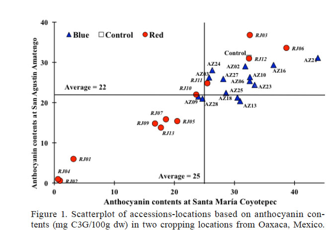 Scatterplot of accessions-locations based on anthocyanin contents (mg C3G/100g dw) in two cropping locations from Oaxaca, Mexico.